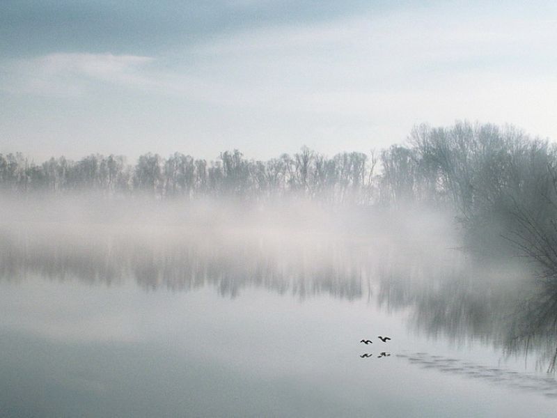 Delta del Po, Inverno