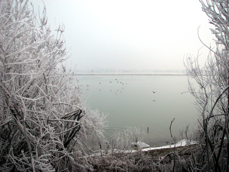 Galaverna, inverno